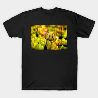 tulips T-Shirt